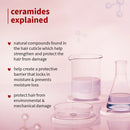 Hibiscus & Ceramides Shampoo for Split Ends