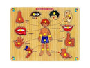 Childgossip Wooden Body Parts Learning Puzzle Toys Human Body Organs Chart Board (1 Pieces)
