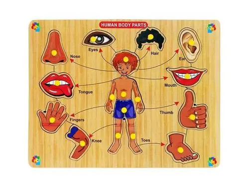 Childgossip Wooden Body Parts Learning Puzzle Toys Human Body Organs Chart Board (1 Pieces)