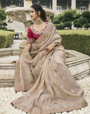 Beige Silk Embroidery Embellished Saree