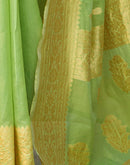 Light Green Chanderi Woven Saree