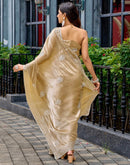 Beige Tissue Silk Sequence Embroidery Saree