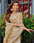 Beige Tissue Silk Sequence Embroidery Saree