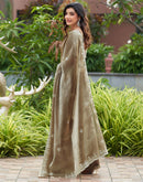 Beige Shimmer Sequence Embroidery Saree