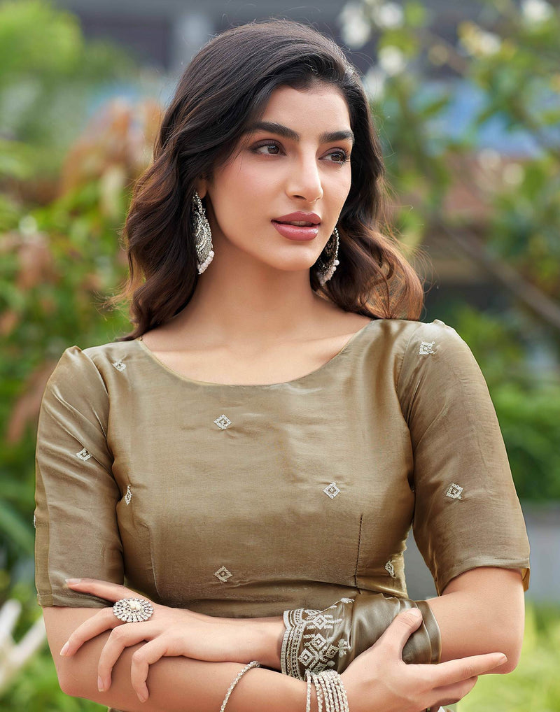 Beige Shimmer Sequence Embroidery Saree