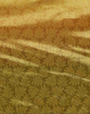 Yellow Silk Printed Saree
