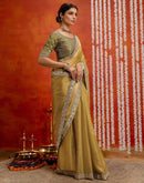 Khaki Shimmer Sequence Lace Saree