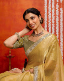 Khaki Shimmer Sequence Lace Saree