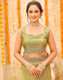 Pista Green Shimmer Stone Work Embellished Saree