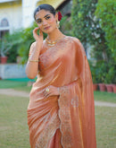 Peach Shimmer Stone Work Embellished Saree