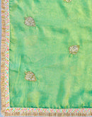Parrot Green Shimmer Sequence Embroidery Saree