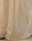 Off White Shimmer Sequence Embroidery Saree