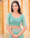 Sky Blue Shimmer Embroidery Embellished Saree
