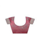 Dusty Rose Pink Shimmer Embroidery Embellished Saree