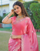 Pink Shimmer Chiffon Sequence Embroidery saree