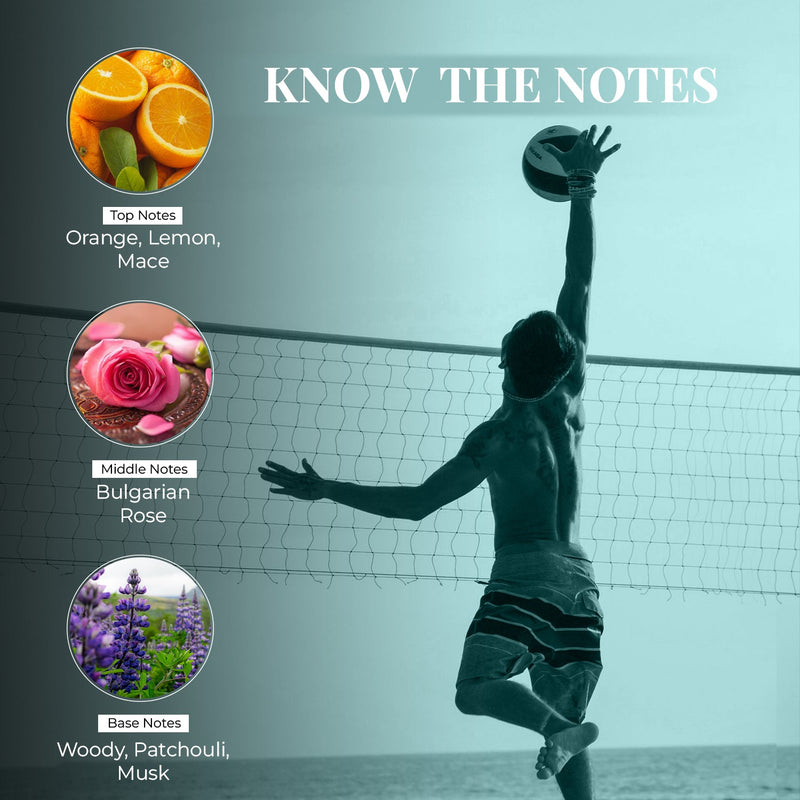 Just Herbs: Energising Cin & Tonic - 50 ml