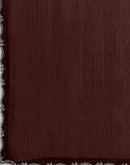 Coffee Brown Chiffon Stone Work Swarovski Saree