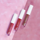 Overachiever Look: Herb-Enriched Matte Liquid Lipstick Kit