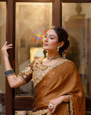 Brown Silk Sequence Embroidery Lace Saree