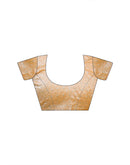 Dusty Peach Shimmer Tissue Sequence Embroidery Saree