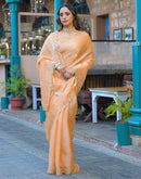 Dusty Peach Shimmer Tissue Sequence Embroidery Saree
