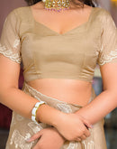 Beige Crush Tissue Embroidery Saree