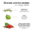 Anti Hairfall Shampoo | Rosemary, Amla & 12 Herbs