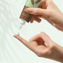 Nourishing Under Eye Gel with Green Tea and Carrot Seed  - Clearance